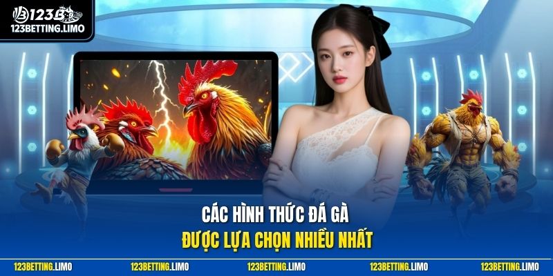 Các hình thức đá gà được lựa chọn nhiều nhất