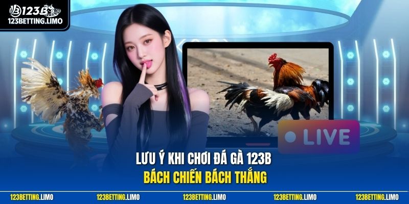 Lưu ý khi chơi đá gà 123B bách chiến bách thắng